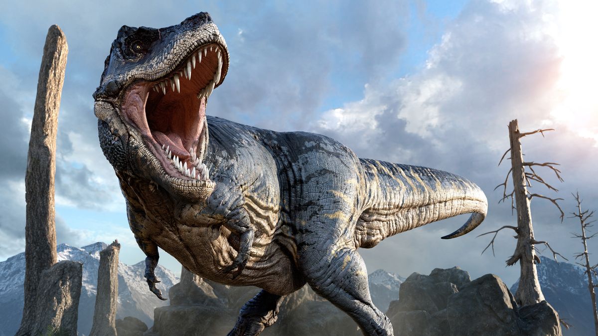 Tyrannosaurus rex byl možná o 70 procent větší, než si vědci mysleli